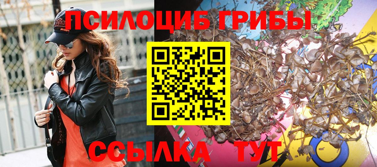 Галлюциногенные грибы мухоморы Брянск