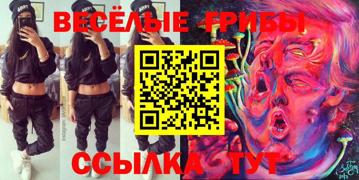 Галлюциногенные грибы прущие грибы  Вход с VPN  Псилоцибиновые грибы мицелий  Брянск 